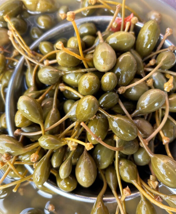 Alcaparrones