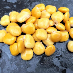 Altramuces