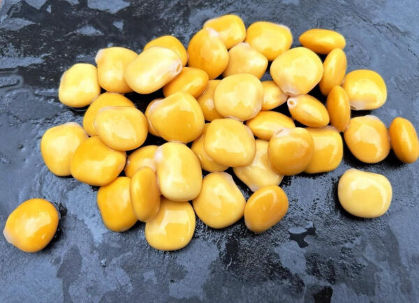 Altramuces